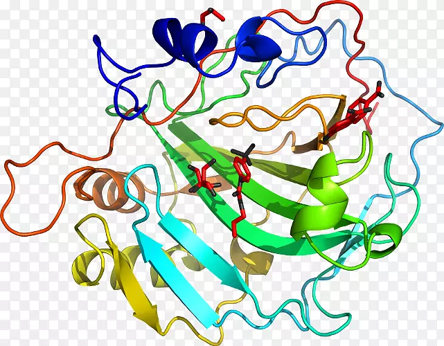 �ߵ������-��-������