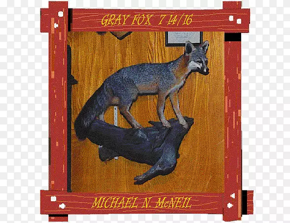 �����Ժ�����-������