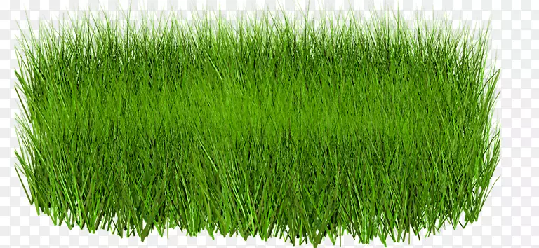 ��ƺ������-����ţ-������