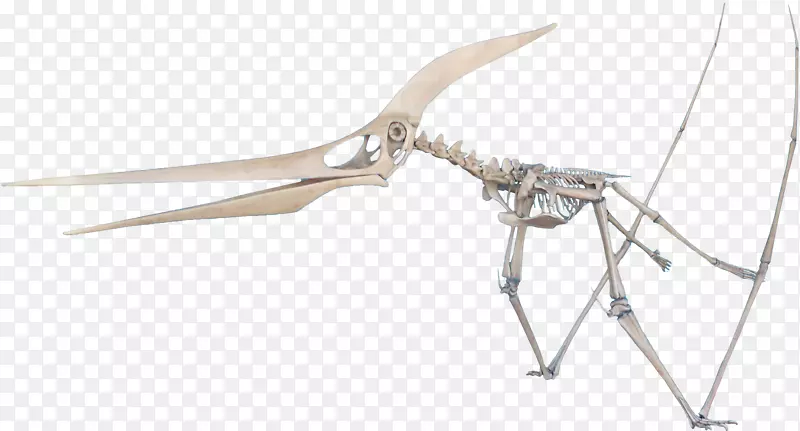 ��·���-������