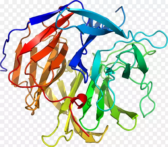 �ߵ������������-������