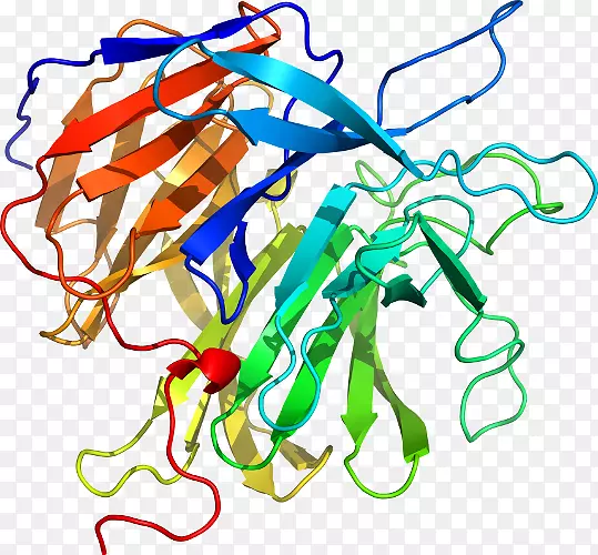 �ߵ������������-������