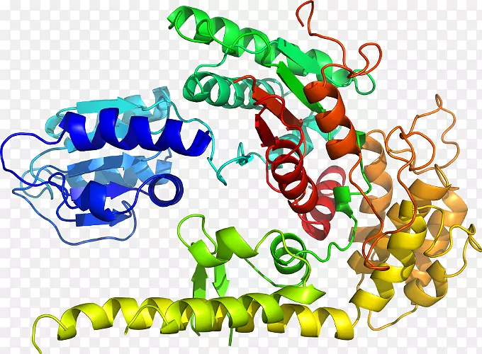 ���������л����߼�������-������