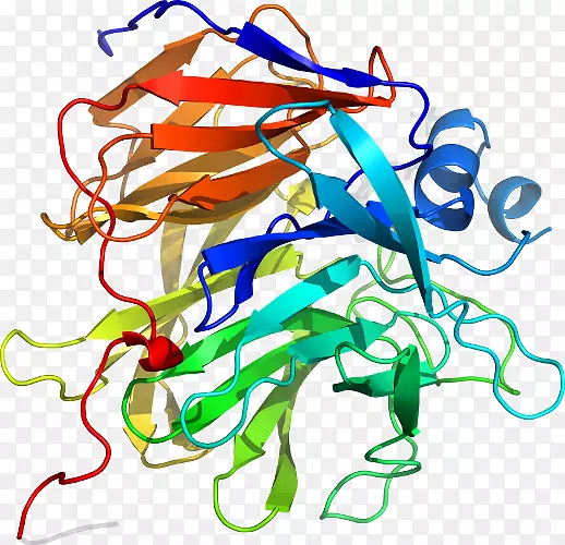 ����������ƽ����Ƽ�������-������