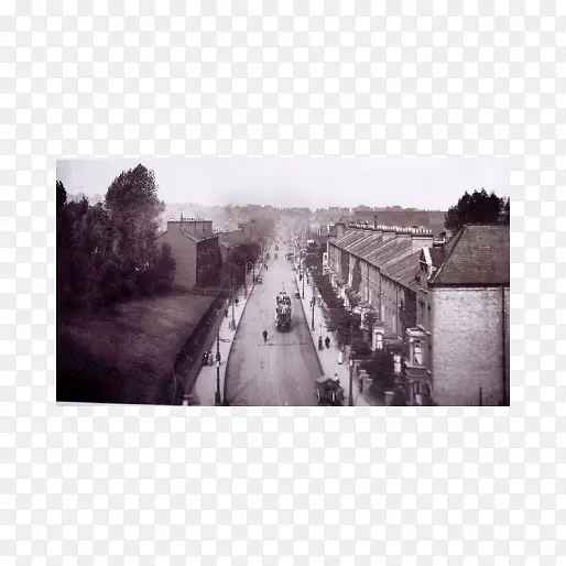 ����-��-������