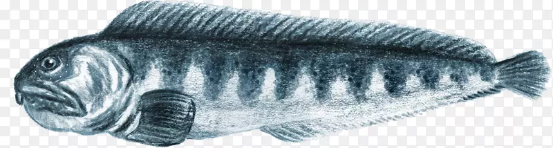 ����������Ʒ-˹̹��-������