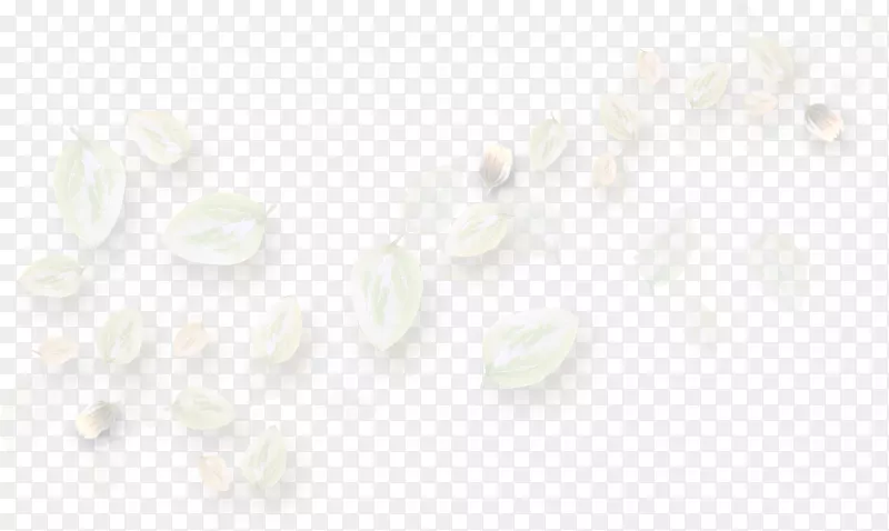 �ذ����õ�廨��-������