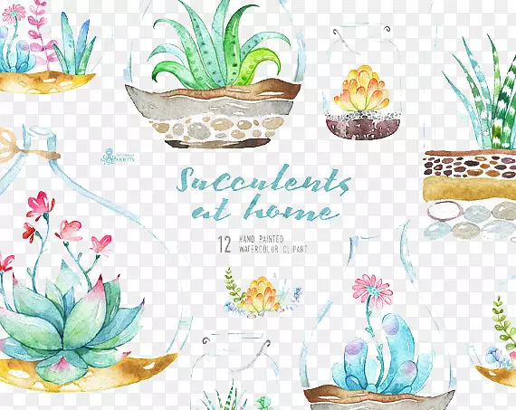 �������뺯ˮ�ʻ�����ˮ�ʻ�������ˮ�ʻ�ֲ��-������