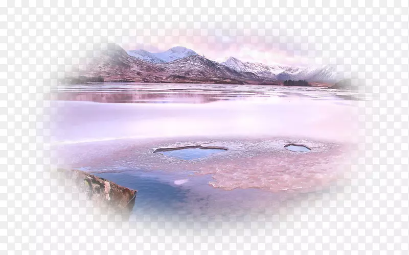 ˮ�ʻ�ˮ�ʻ�-������