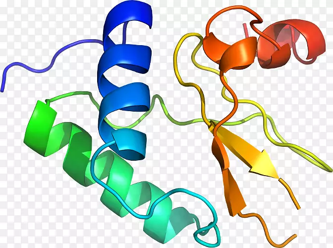 �����鱦������.���-������