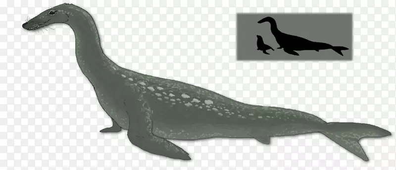 ½������-ˮ��-������