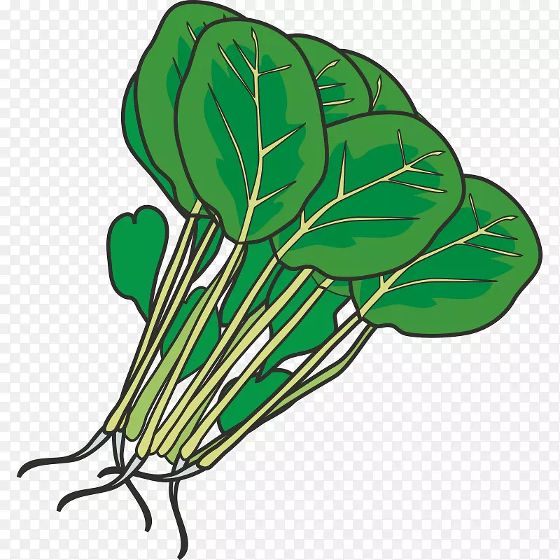 ���Ҷ�˲��˼�����-�߲ˣ�ˮ�����߲ˣ���ɫ��ˮ�����߲�-������