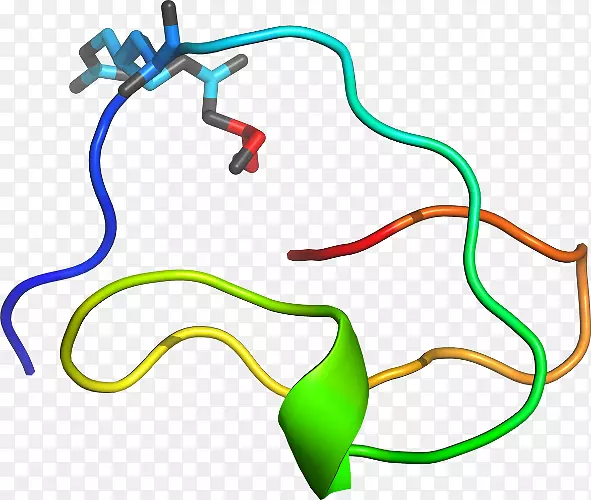 �ߵ������μ�����.��-������