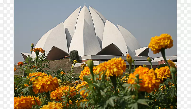 �ɻ��´����¶������Ƽ���ֲ����-������-������