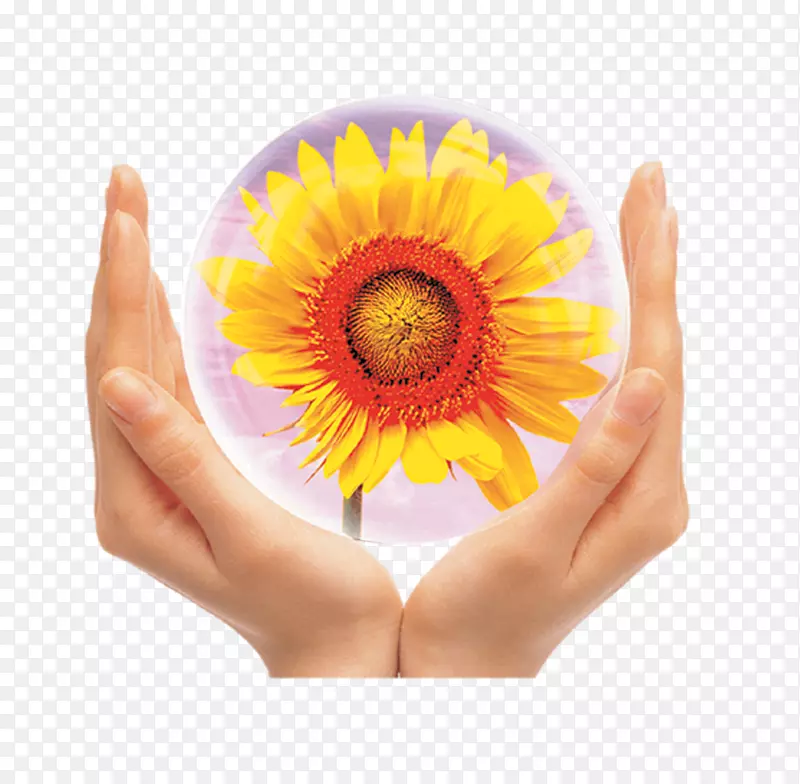 ��ͨ���տ�-������