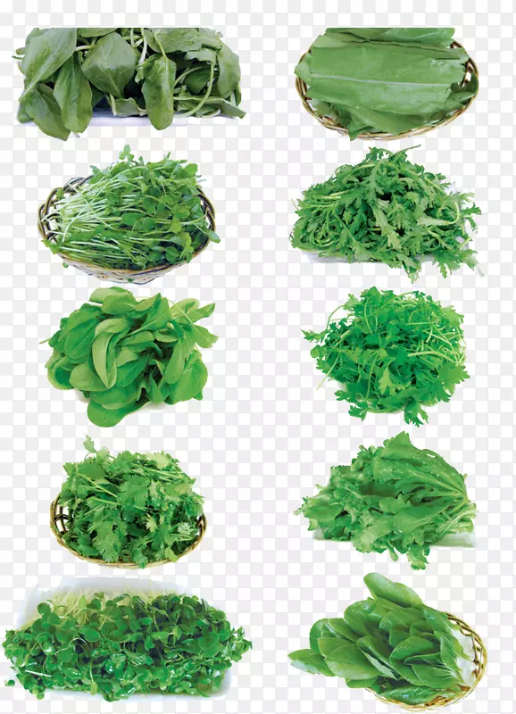 �����߲˴���-�����߲˺��߲�-������