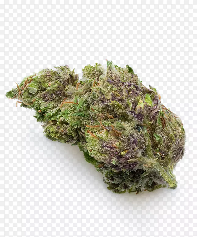 Ҷ��-������