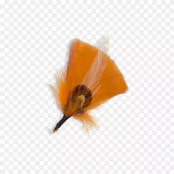 �������ë-������