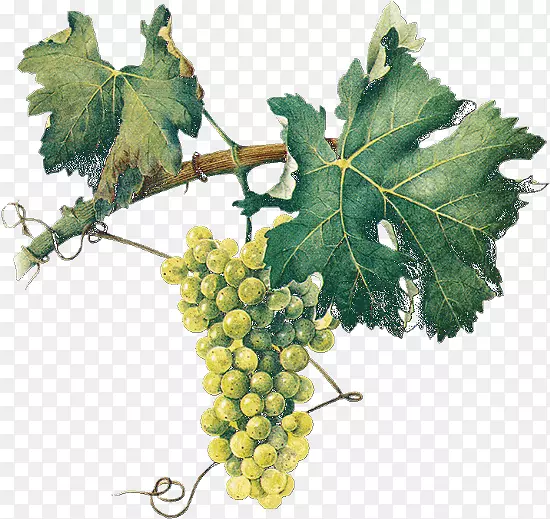 �մ���������ͨ���ѹ�ʵ-������