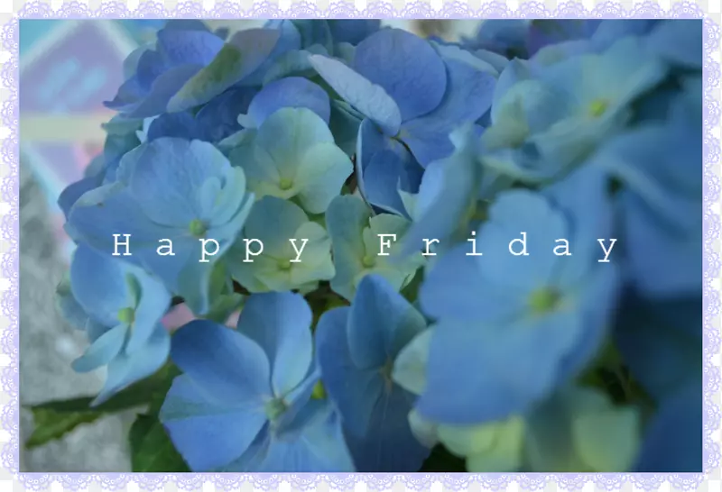 ����ƻ���-������