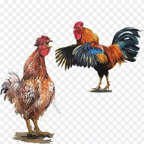 ��ˮ�ʻ�-�󹫼�ˮ�ʻ���ҡͼ-������