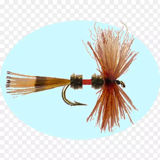 �����˹�Ӭϵ-������