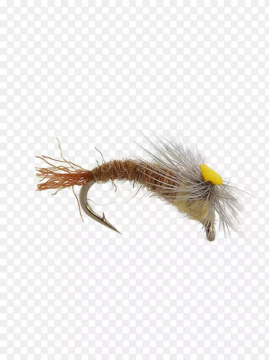 �����˹�Ӭϵ-������