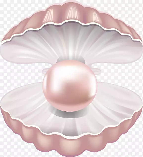 ���鱴�����嶯�ﱴ�Ǳ�ʯ-�����ķۺ�ɫ����-������