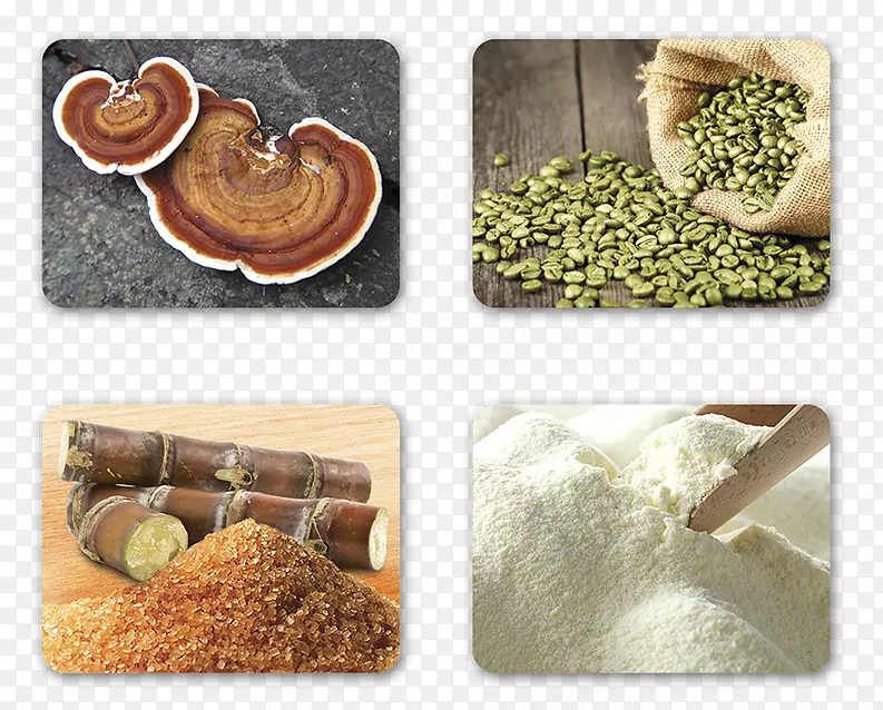 �����̷��䷽����-����-������