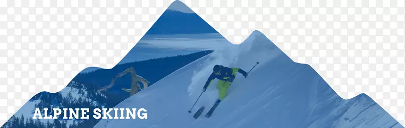 Ʒ������-������