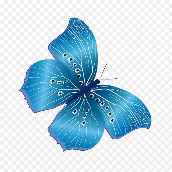 �������������-Sr-������