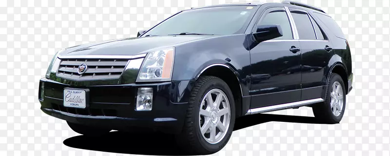 2004�꿭������SRX 2016��������SRX 2005��������SRX�γ�-��������-������