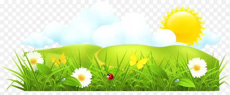 ���������-��-������