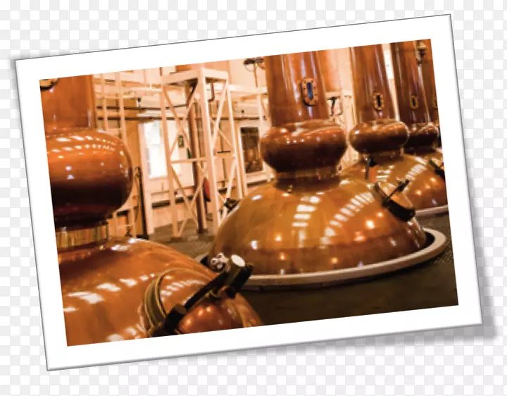 ʳ���-������