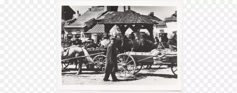 ��ɫ����Ʒ-������Ů-��-������