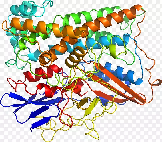 ���������л����߼�������-������