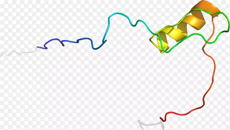 �ߵ������-��-������