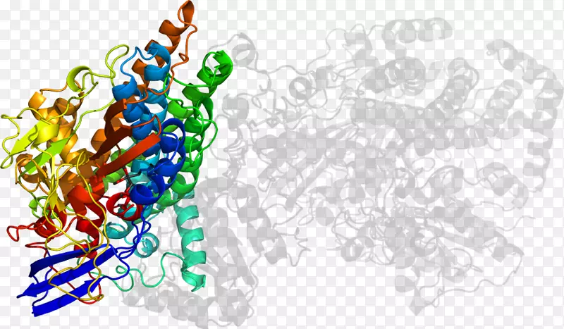 ͼ�������������-������