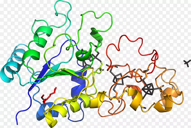 �ߵ�����������-������