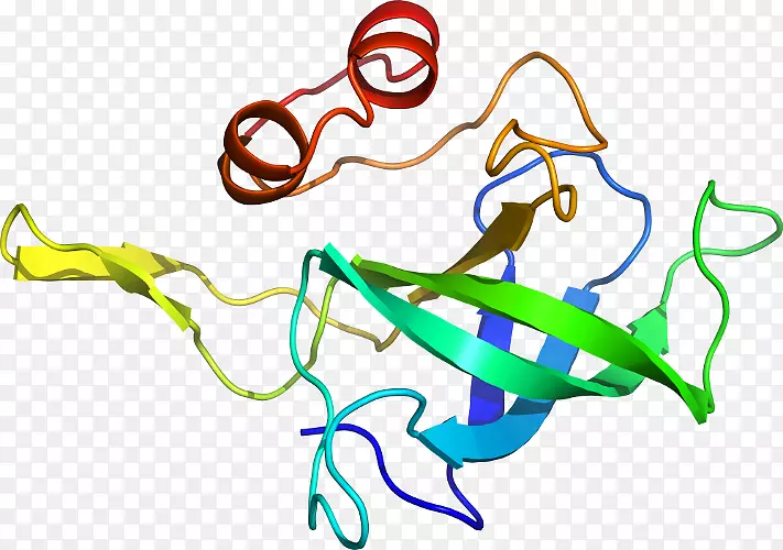 ����������Ҷ��������-������