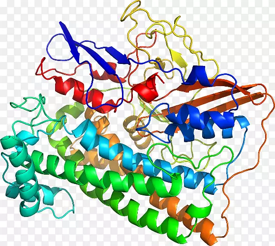 ���������л����߼�������-������