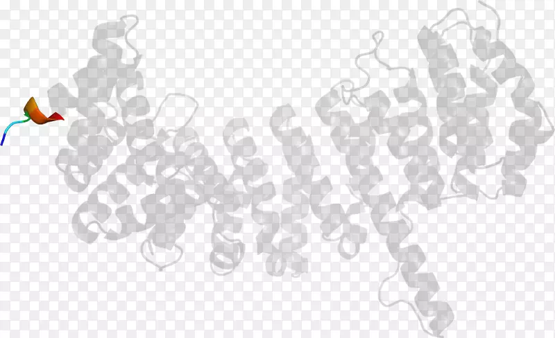 ��-��-������