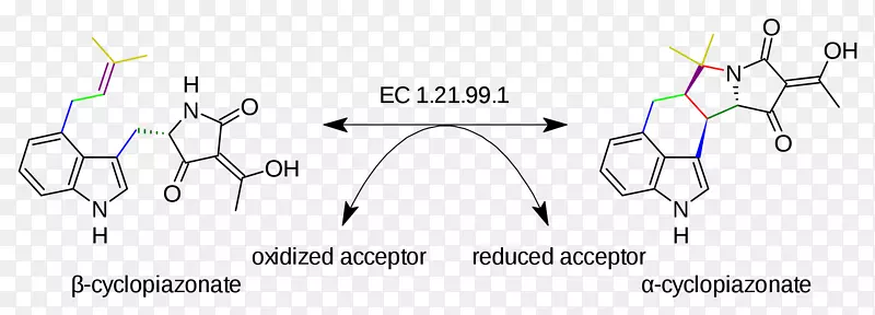 ֽ���-������