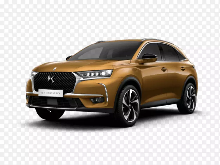 DS����Citro n DS����DS 4-ѩ����-������
