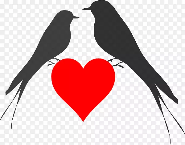 ���μ�����-��֦�ϵ���-������