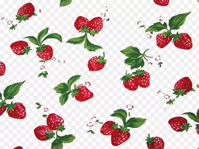 ��ݮ�����Ӻ��ݮ-������