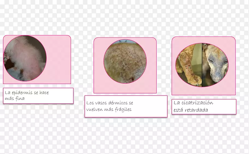 ������������-������