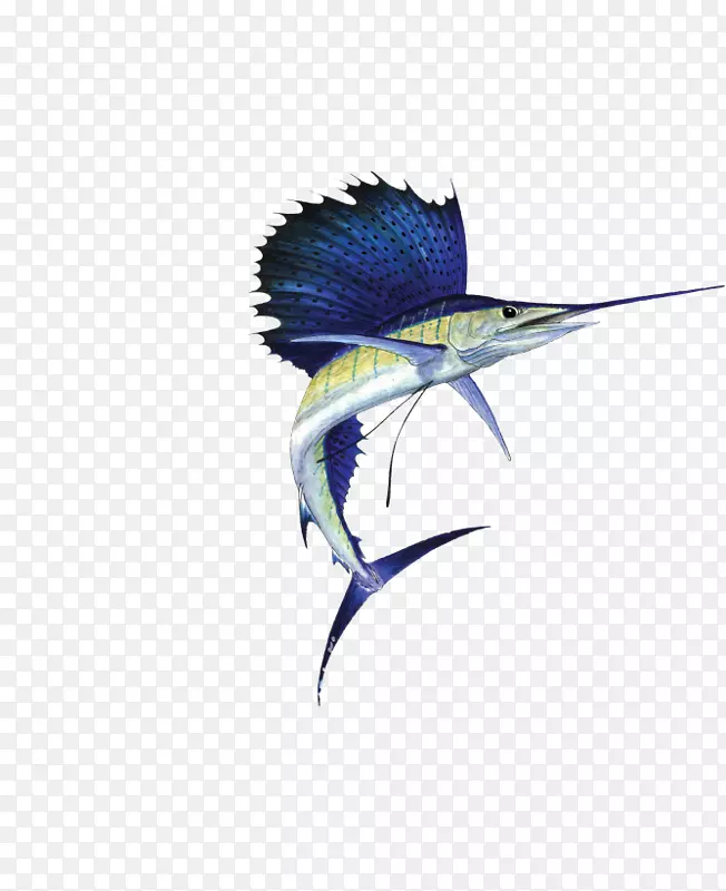 �������๴�����-������