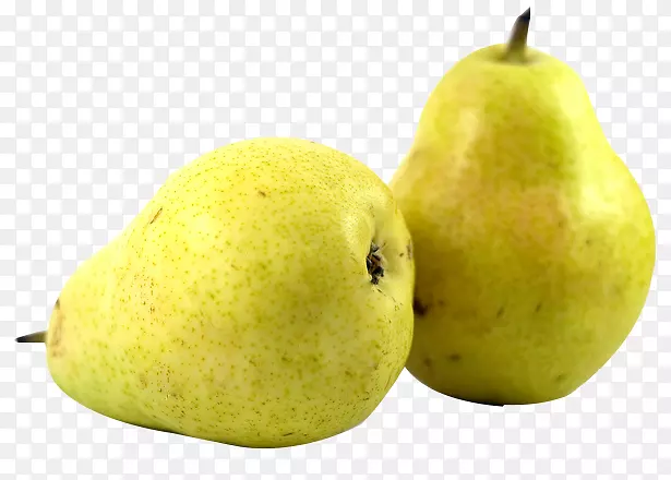 ��������л�ʳƷ����������-������