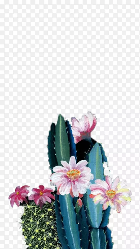 ����������ز�ͼ.װ��ֲ��-������